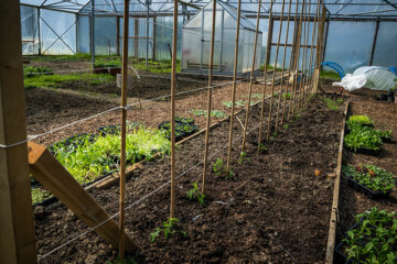 Land-based - Plants at Dearne Valley College