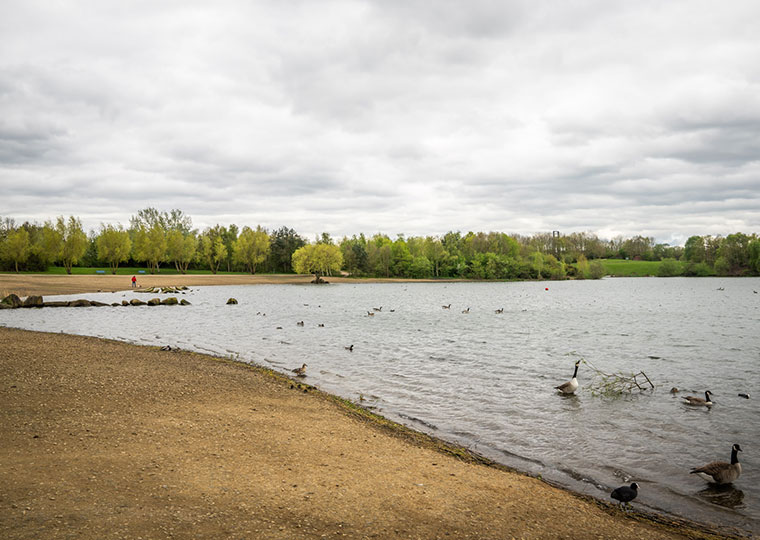 Manvers Lake