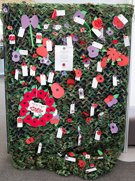 A poppy wall made by students